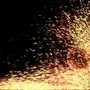 V-Ray 5.0 for 3ds Max