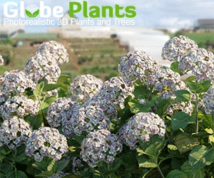 Globeplants